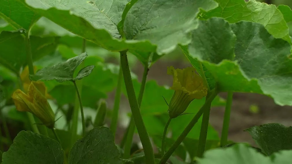 1660529952133064.jpg 1660529952133064.jpg