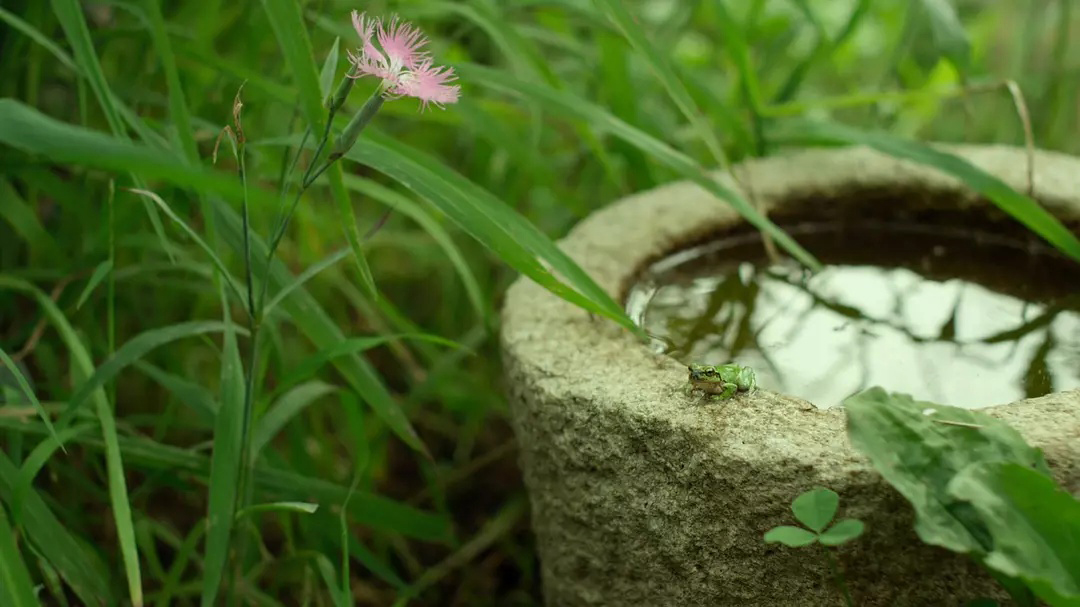 1660529973159456.jpg 1660529973159456.jpg